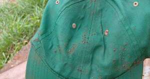 La Nación / Hallaron quepis con el que fue visto por última vez Tobías Suárez