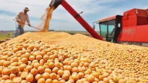 La cosecha de soja 2025/26 podría llegar a las 11 millones de toneladas, asegura la UGP