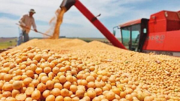 La cosecha de soja 2025/26 podría llegar a las 11 millones de toneladas, asegura la UGP