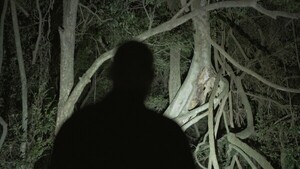 Alrededor del paraíso tuvo su preestreno en la Berlinale