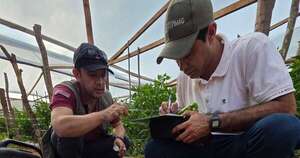 La Nación / Cooperación entre Israel y Paraguay: brindan asesoría técnica para la competitividad agraria