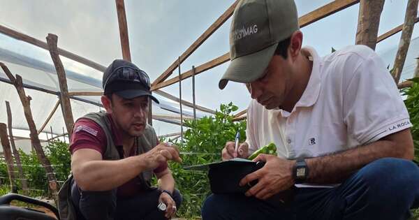 La Nación / Cooperación entre Israel y Paraguay: brindan asesoría técnica para la competitividad agraria