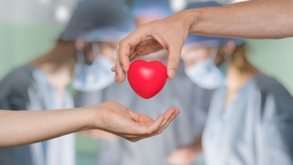 El milagro de la donación de órganos: Una sola persona puede regalar hasta 56 años de vida