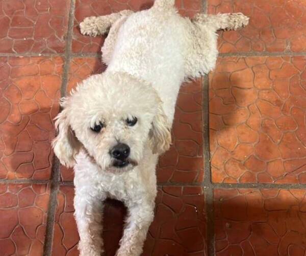 Piden justicia mientras investigan el caso de Matheo