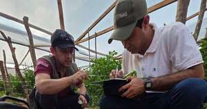 La Nación / Israel brinda asesoría técnica al país para competitividad agraria