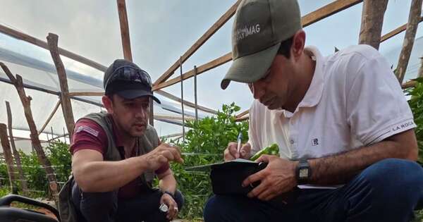 La Nación / Israel brinda asesoría técnica al país para competitividad agraria
