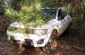 Incautan camioneta y bolsas con presunta marihuana en Yby Ya’u - Concepción al Día
