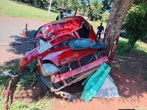 Habría intentado esquivar un perro, chocó contra un árbol y perdió la vida