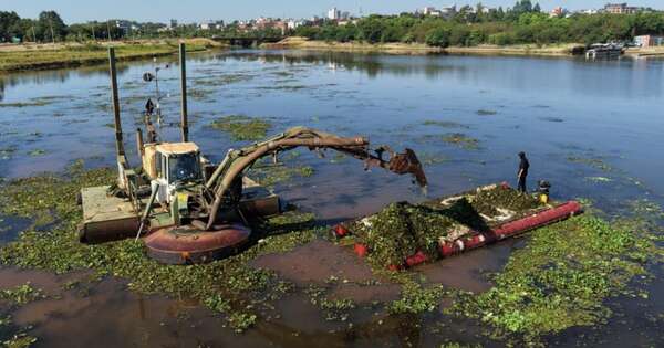 La Nación / Draga anfibia de Yacyretá realiza labores de limpieza en el arroyo Poti’y