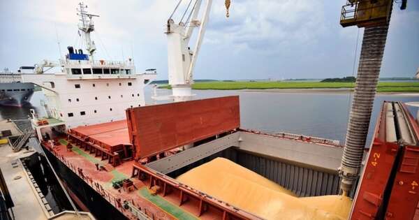 La Nación / Sector sojero arranca con USD 305 millones en envíos y proyecta más impulso tras cosecha gruesa