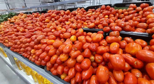 Anuncian plan para bajar el precio del tomate en las góndolas