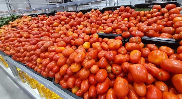 Anuncian plan para bajar el precio del tomate en las góndolas