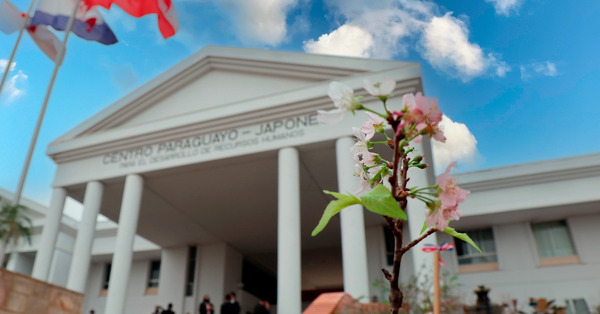 El CPJ prepara un 2026 con amplia oferta académica y una nutrida agenda cultural