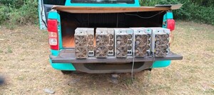 ANDE interviene una conexión irregular destinada a la criptominería en Luque