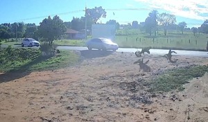 Menor de 13 años provocó accidente y resultó herido en Caaguazú | Unicanal