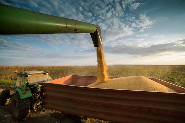 Soja: retraso de la cosecha frena las exportaciones en el arranque del 2026 - ABC Rural - ABC Color