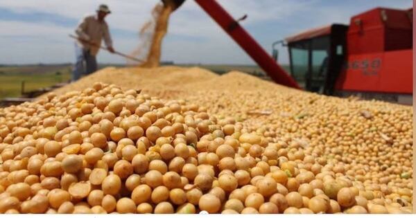 La Nación / Sector sojero arranca con USD 305 millones en envíos