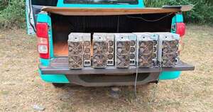 Diario HOY | Robo de energía: cortan conexión irregular usada para criptominerìa