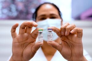 Vacuna contra el dengue evita complicaciones severas en grupo etario hasta 39 años