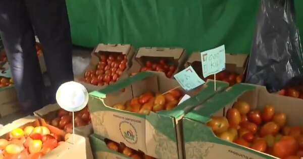 Diario HOY | ¿Cuánto cuesta el tomate en el súper?: “Somos tomadores de precios”