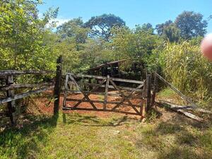 ABIGEATO EN ITAPÚA: DENUNCIAN ROBO DE CINCO VACUNOS EN JOSÉ LEANDRO OVIEDO