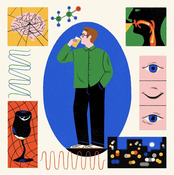 Los efectos del alcohol en el cuerpo