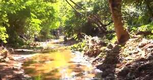 La Nación / Padre de Tobías ingresó al predio para identificación del cuerpo