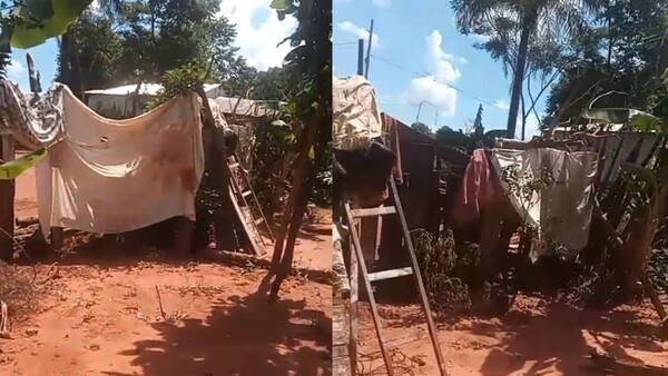 Pone sábanas como muralla para no mirarle a su vecina