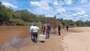 Fiscalía interviene ante preocupante mortandad de peces en el río Tebicuary