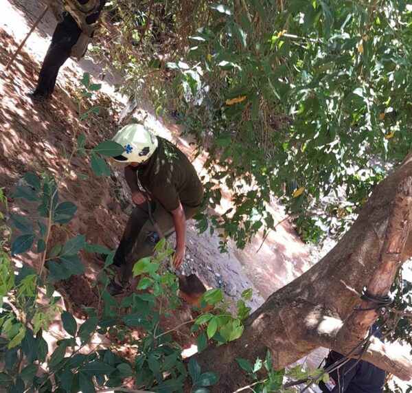 Hallan un cuerpo con similitudes al de Tobías - San Lorenzo Hoy