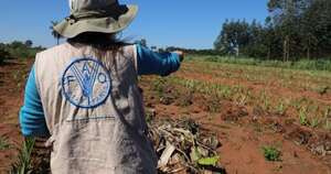 La Nación / FAO y CAH refuerzan financiamiento y asistencia técnica con el programa Jepytaso