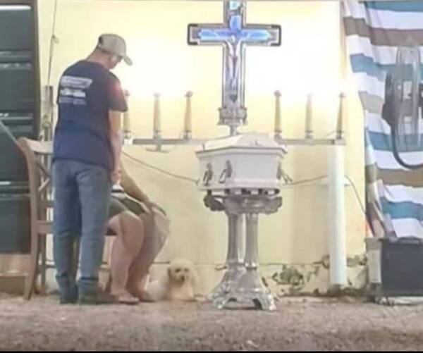 El amigo más fiel: Firu participó del velorio de Tobías