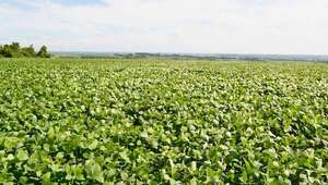 Paraguay adeuda al FMI 0,6% del PIB, frente al 8,6% de Argentina - Economía - ABC Color