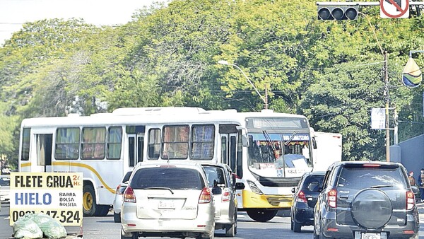 Pérdidas pueden llegar a G. 100 millones por falta de energía