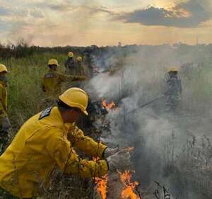 Incendio forestal en isla San Francisco: bomberos y militares trabajan para sofocar el fuego  - Nacionales - ABC Color