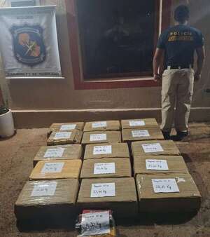 Destruyen dos campamentos e incautan más de 350 kilos de marihuana  - ABC en el Este - ABC Color