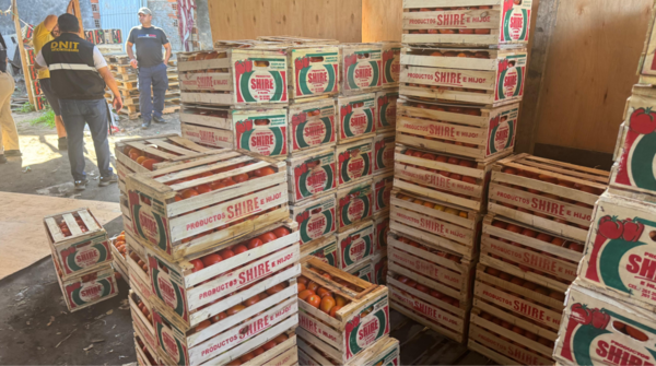 DNIT decomisó casi 9 toneladas de tomate en operativo realizado en el Mercado de Abasto