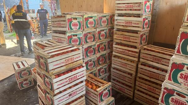 DNIT decomisó casi 9 toneladas de tomate en el Mercado de Abasto