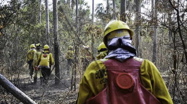 Intensos trabajos para controlar incendios forestales e instan a respetar prohibición de quema