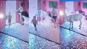 Una clienta entró a la pelu y era una ¡VACA!