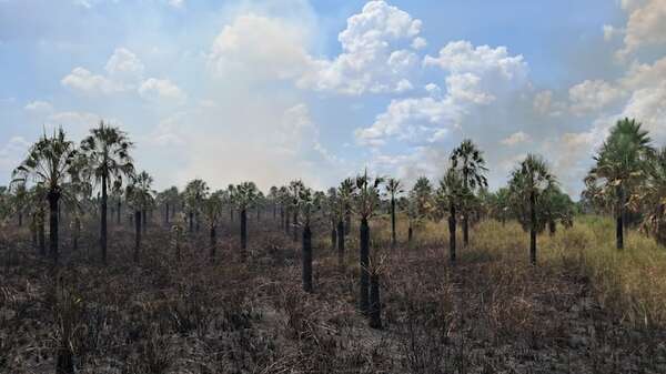 Incendio de gran magnitud consume la Reserva Aguapey en San Bernardino - Nacionales - ABC Color