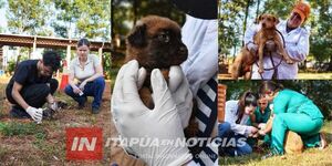 EXITOSA JORNADA DE ATENCIÓN A ANIMALES ABANDONADOS EN ENCARNACIÓN