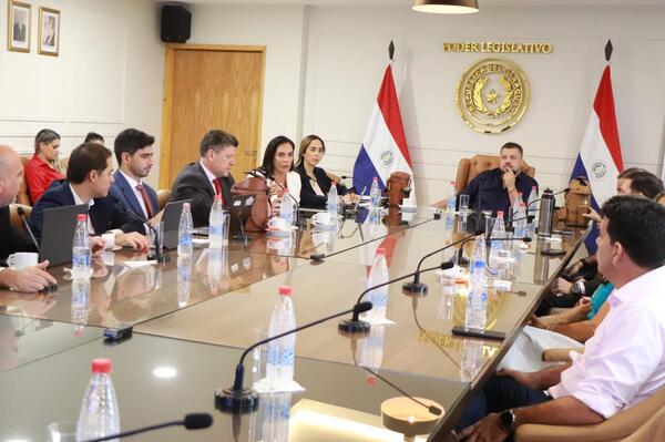 Tren de cercanías: Buscan modificar ley clave para habilitar operación con emiratíes