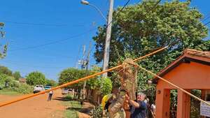 Concepción: bomberos atrapan a un karaja que causaba zozobra en el tendido de la ANDE - Nacionales - ABC Color