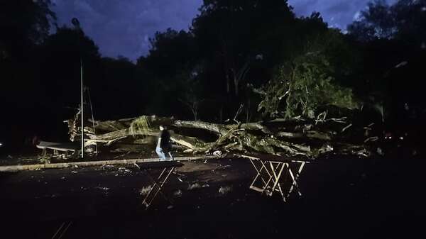 Tormenta causa apagones y árboles caídos en el Este - ABC en el Este - ABC Color