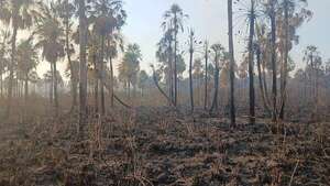 Más de 60 hectáreas consumidas por incendio en la reserva Aguapey de San Bernardino  - Nacionales - ABC Color
