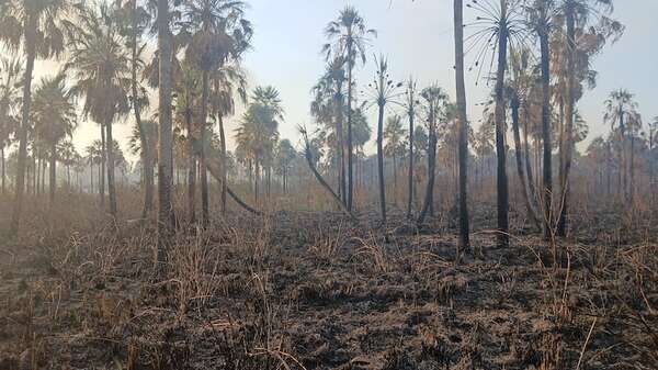 Más de 60 hectáreas consumidas por incendio en la reserva Aguapey de San Bernardino  - Nacionales - ABC Color