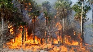 SEN: el 99% de los incendios en Paraguay serían provocados - Portal Digital Cáritas Universidad Católica