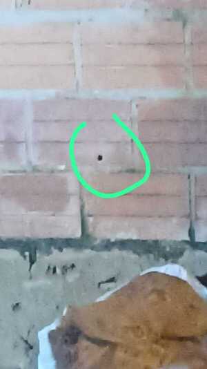 Popular / Balearon una vivienda y amenazaron de muerte a sus dueños