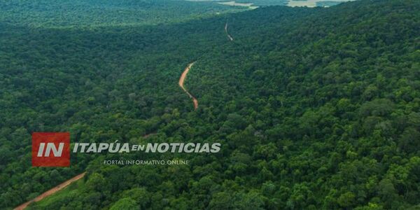 PARAGUAY REFUERZA MONITOREO FORESTAL